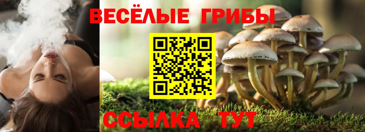 Красноярск  Галлюциногенные грибы ЛСД  Вход с VPN 